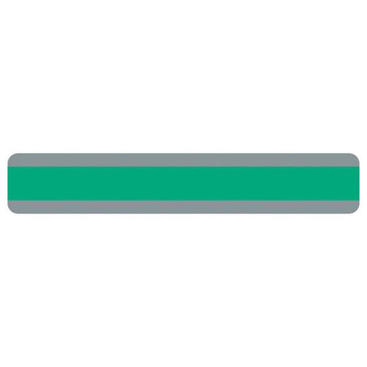 DOUBLE WIDE READING GUIDE STRIP GREEN