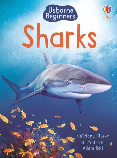 BEGINNERS SHARKS
