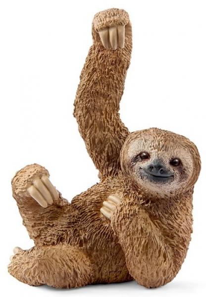 SLOTH