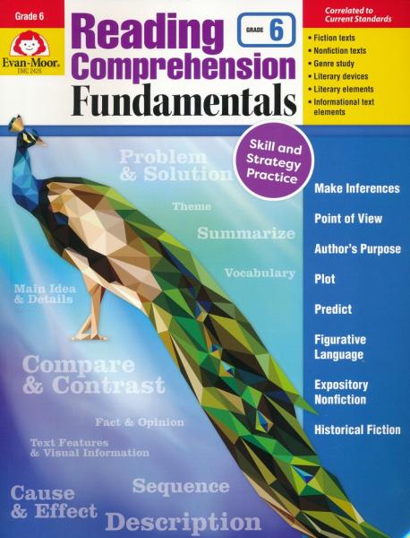 READING COMPREHENSION FUNDAMENTALS GRADE 6