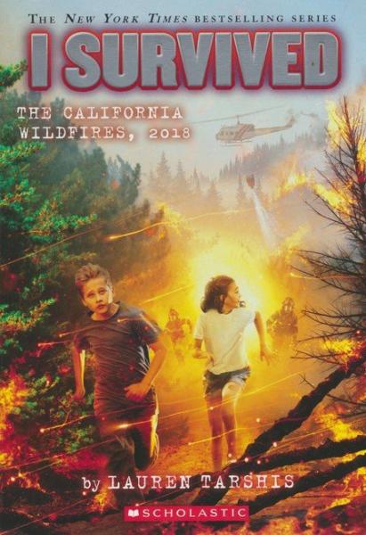 I SURVIVED THE CALIFORNIA WILDFIRES 2018