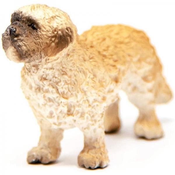 SHIH TZU MALTESER MIX