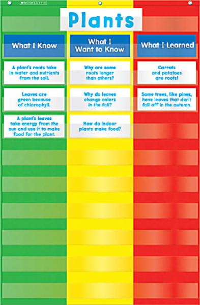POCKET CHART: 3-COLUMN CHART