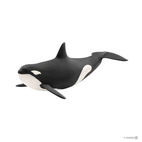 KILLER WHALE