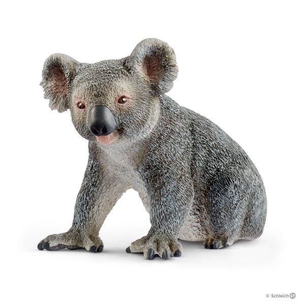 KOALA