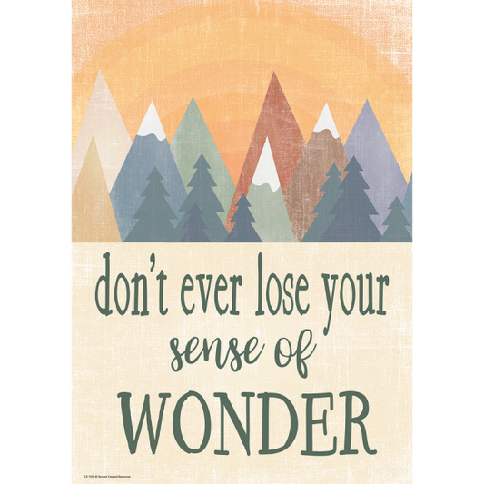 POSTER: DON'T EVER LOSE YOUR SENSE OF WONDER