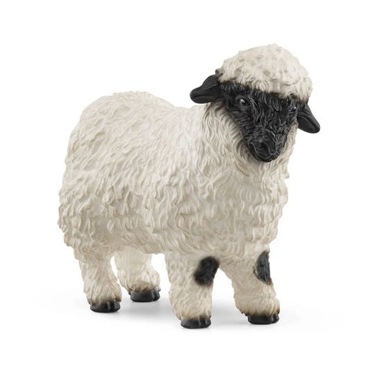 BLACKNOSE SHEEP