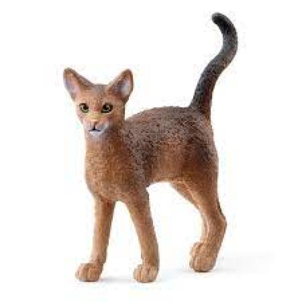ABYSSINIAN CAT