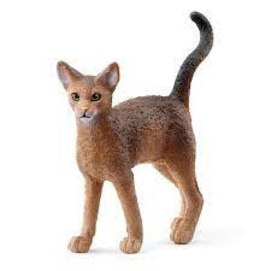 ABYSSINIAN CAT