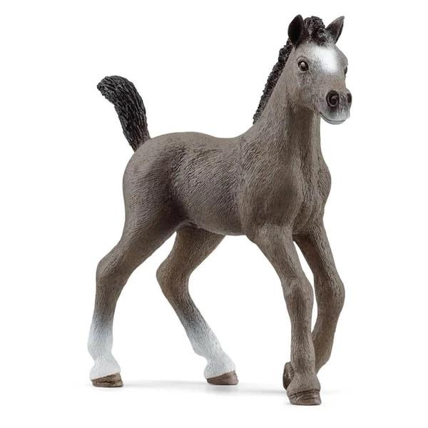 CHEVAL DE SELLE FR. FOAL