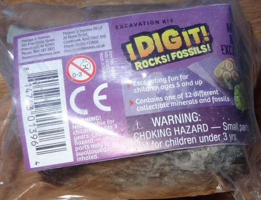 I DIG IT! ROCKS! FOSSILS!