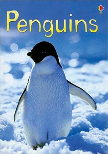 BEGINNERS PENGUINS