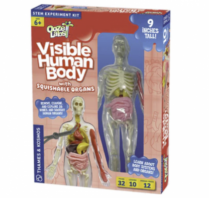 VISIBLE HUMAN BODY