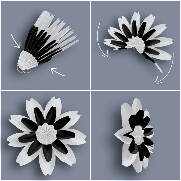 PAPER FLOWERS: BLACK AND WHITE