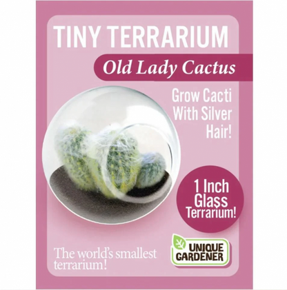 TINY TERRARIUM OLD LADY CACTUS