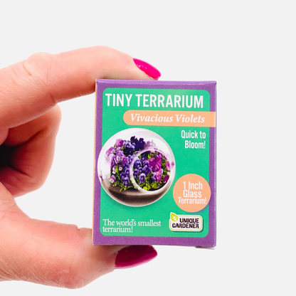 TINY TERRARIUM VIVACIOUS VIOLETS