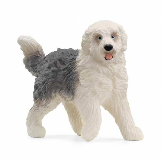 OLD ENGLISH SHEEPDOG