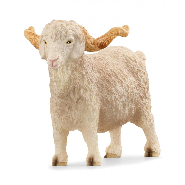 ANGORA GOAT