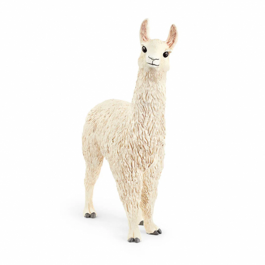 LLAMA