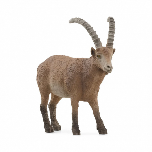 IBEX