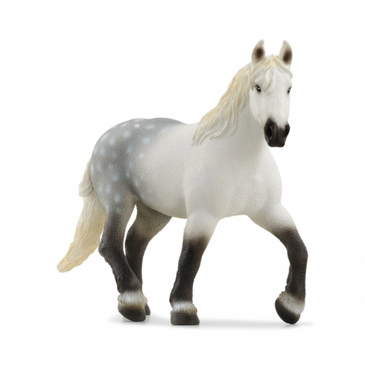 PERCHERON MARE