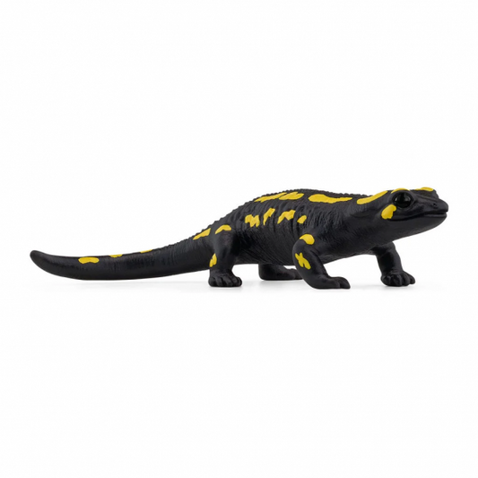 FIRE SALAMANDER