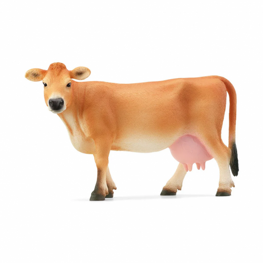 JERSEY COW