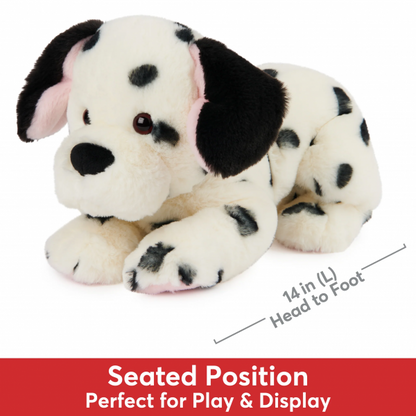 CHECKERS DALMATIAN