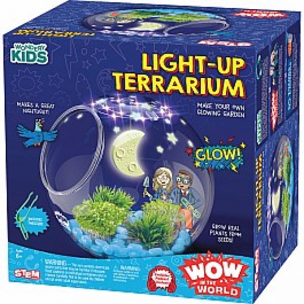 WOW IN THE WORLD: LIGHT-UP TERRARIUM