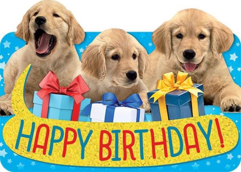 GREETING CARD: HAPPY BIRTHDAY! PUPPIES