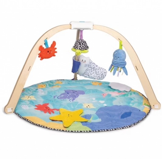 OCEAN EASY-FOLD PLAY GYM