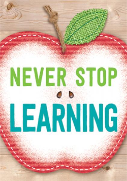 (SALE) (D)POSTER: NEVER STOP LEARNING