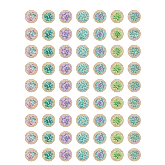 (SALE) (D) MINI STICKERS: RUSTIC BLOOM SUCCULENTS