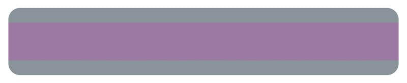 DOUBLE WIDE READING GUIDE STRIP PURPLE