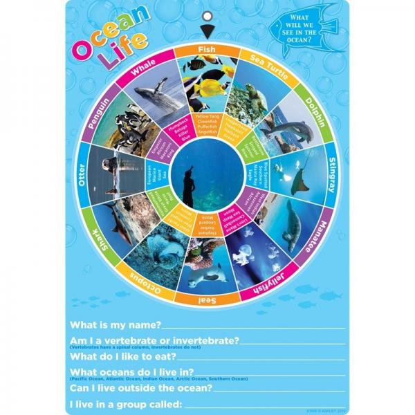 (SALE) (D)SMART WHEEL POLY CHART: OCEAN LIFE