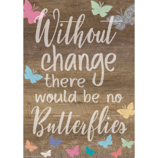 (SALE) (D) POSTER: WITHOUT CHANGE THERE WOULD BE NO BUTTEFLIES