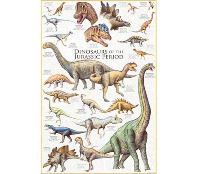 POSTER: #44 - DINOSAURS OF THE JURASSIC PERIOD