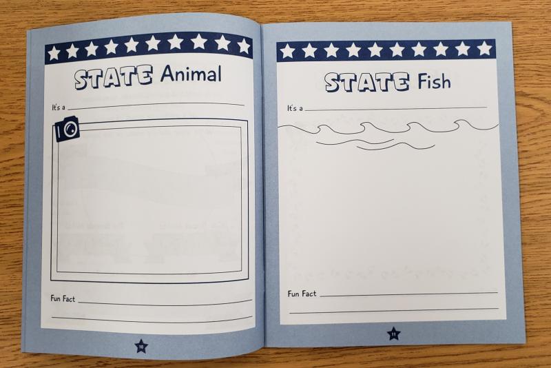 MY STATE REPORT INDIVIDUAL