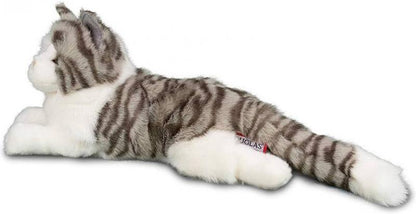 SMOKEY GRAY CAT