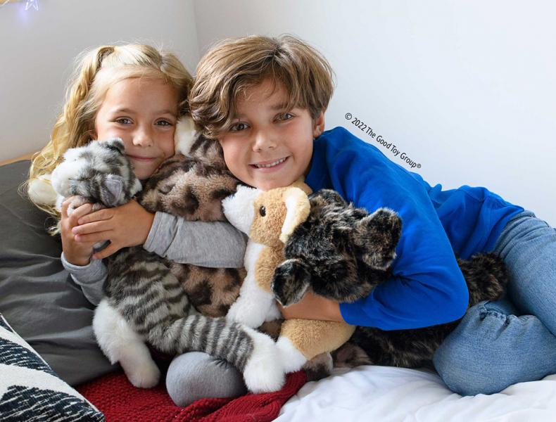 CHEEKIE CORGI SOFTIE