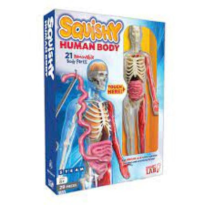 SQUISHY HUMAN BODY