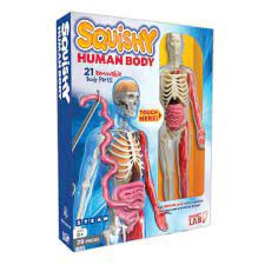SQUISHY HUMAN BODY
