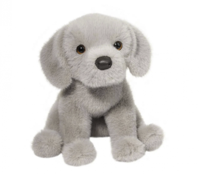 ARGENTO SILVER LAB PUP