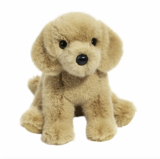 GOLDIE GOLDEN RETRIEVER SUPER