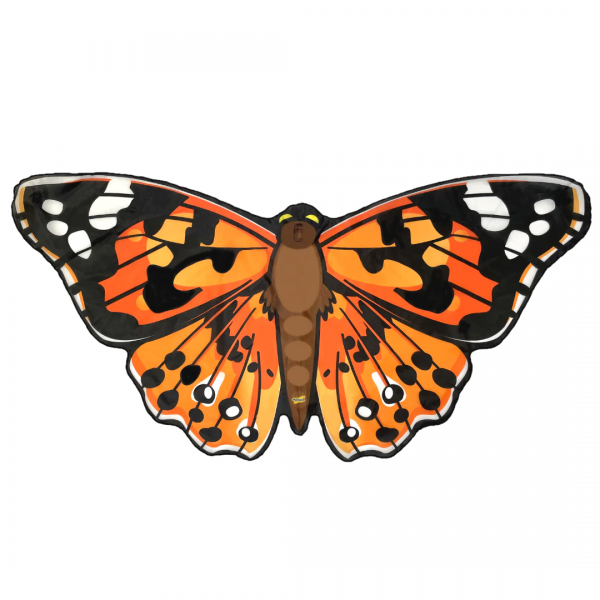PAINTED LADY BUTTERFLY WINGS
