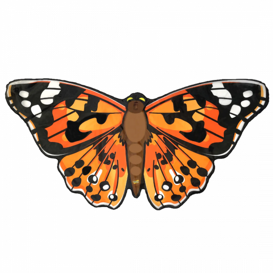 PAINTED LADY BUTTERFLY WINGS