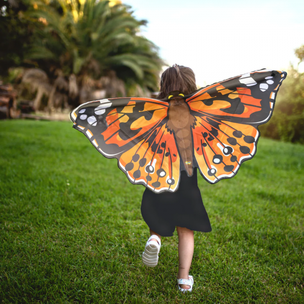 PAINTED LADY BUTTERFLY WINGS
