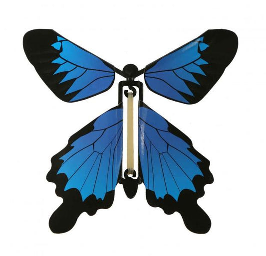 WIND UP BUTTERFLY: BLUE MORPHO