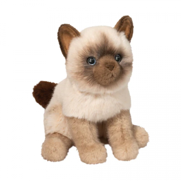 FU SIAMESE CAT