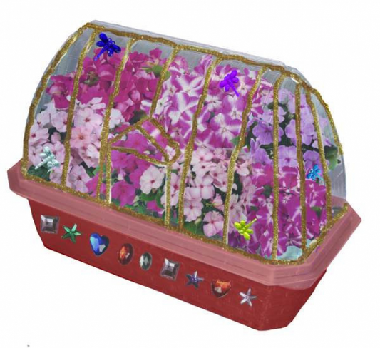 (SALE) FLOWER PRINCESS PALACE TERRARIUM